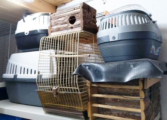 Käfige in der Wildtier-Station